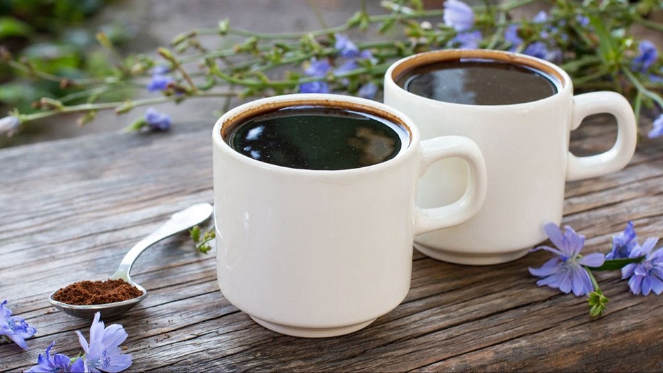 Цикорій: кому не можна пити — основні протипоказання, ризики та поради Цикорій: кому не можна пити — основні протипоказання, ризики та поради