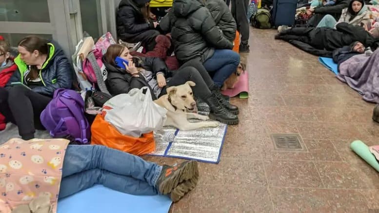 Що робити при нестачі енергії: ефективні природні способи відновити сили та підвищити енергію Що робити при нестачі енергії: ефективні природні способи відновити сили та підвищити енергію